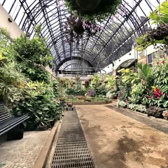 Auckland Domain west winter garden HQ