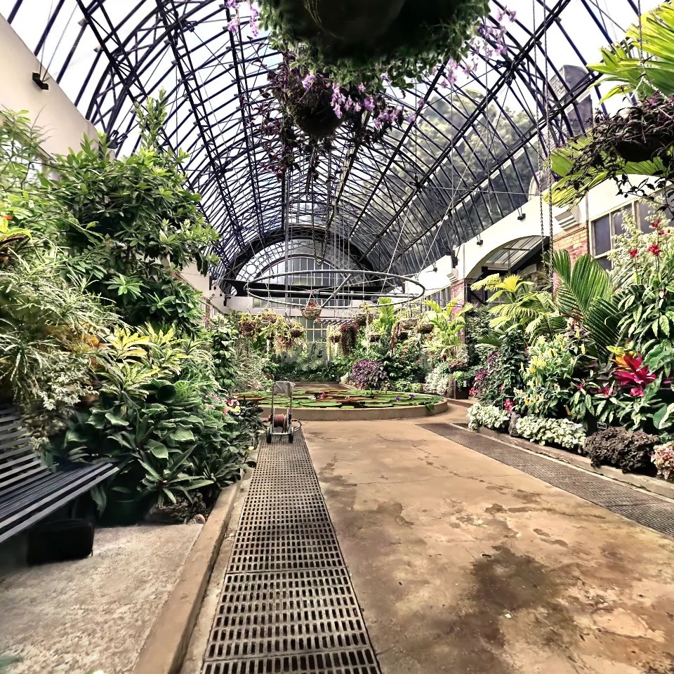 Auckland Domain winter garden HQ