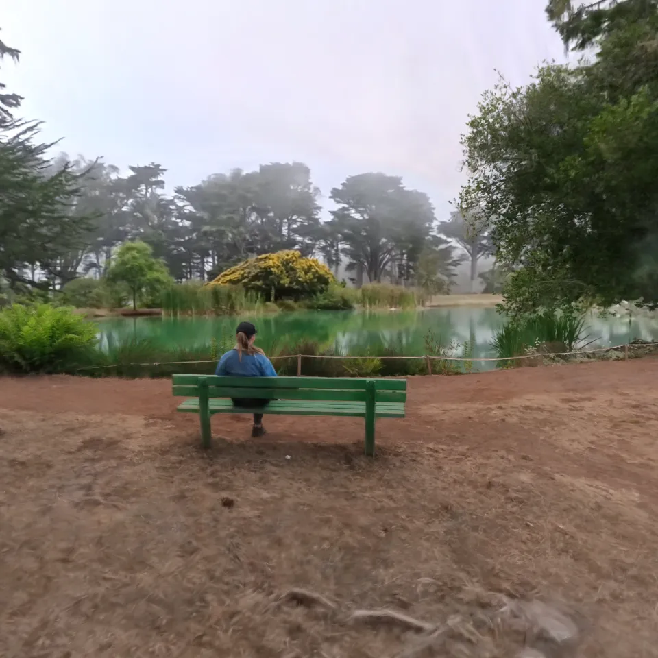 Golden Gate Park Lake