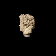 Bust