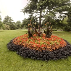 Mip-NeRF 360 Flowers - Reconstructed with Seeget3D