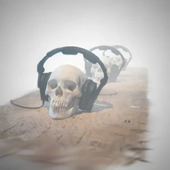 Skull Fog