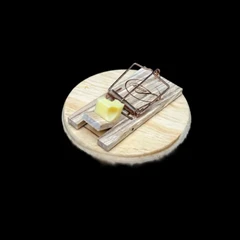 Temptation Cheese