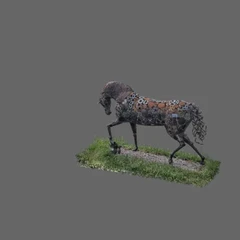 horse