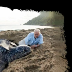 David Attenborough 100th Birthday
