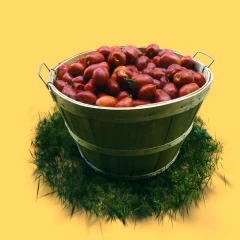 LoMa Tomatoes v2