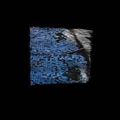 Butterfly Wing Blue Scales (High Magnification)