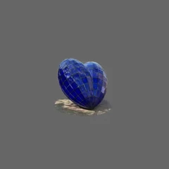 Delft Heart - Postshot SH3