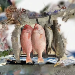 Peixe