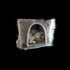 splat_6523 - Sunny Cat Tree