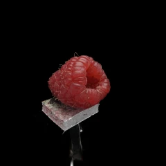 Raspberry in 130s