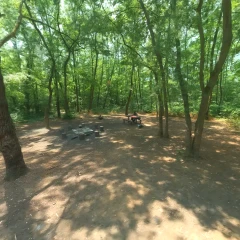 Gaussian forest with 360 drone (NEW)