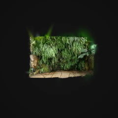 Garden living wall