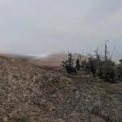 PACHACAMAC 2