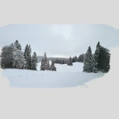 ImageGS - Snowy Forest