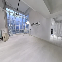 Therapole Studio