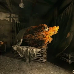 Resident Evil 4 Remake Ember Storage
