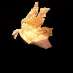 Oily Paper