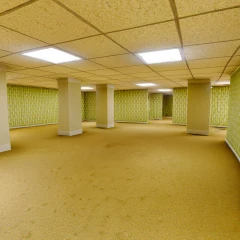 The Backrooms