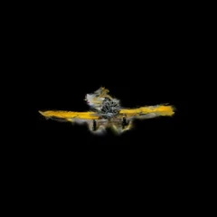 T-6 Test Edit Ver01