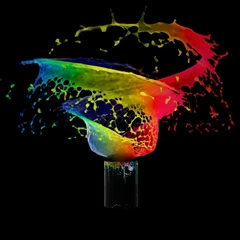 SPLAT PAINT – EXPERIMENT