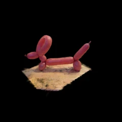 Hannah’s Balloon Animal