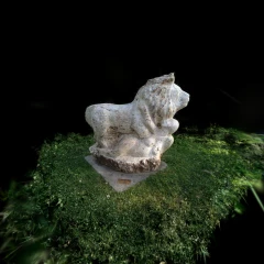 man&lion