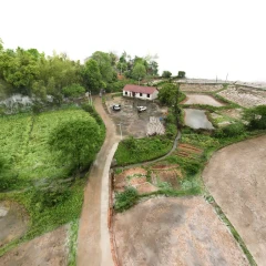 乡间小道