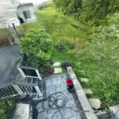 Backyard_Merged_Video_Test