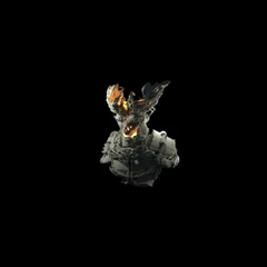 S001m