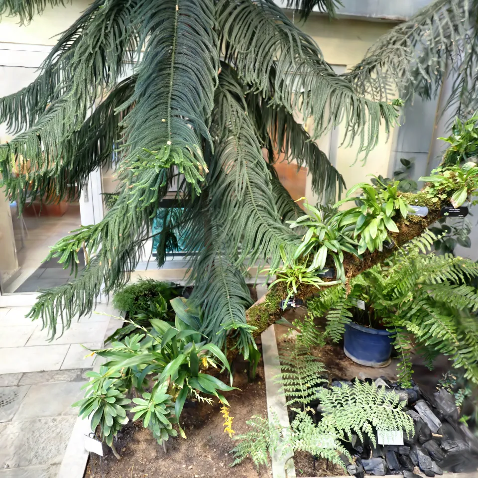 Tartu Botaanikaaed 2