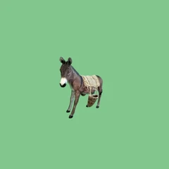 Chonkey the Donkey 
