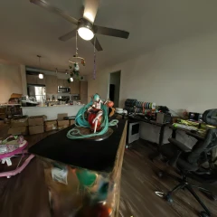 Miku 2 fisheye lenses rig test