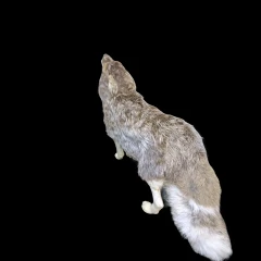 Handmade Wolf