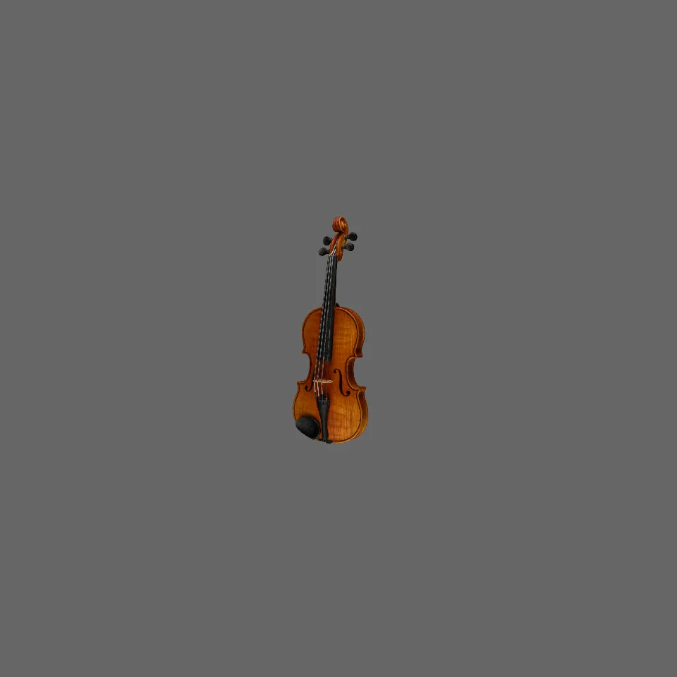 Violin