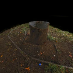 splat_tronco_limpo