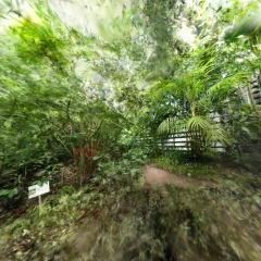 Bonn Botanical Gardens 07
