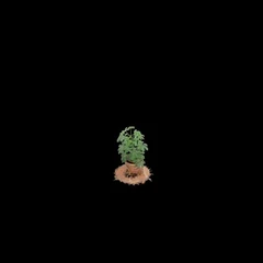 RGBA Dataset