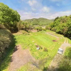 やまとた（2026年5月）