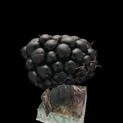 Blackberry