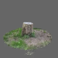 Chess in the woods
