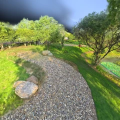Wooded Path