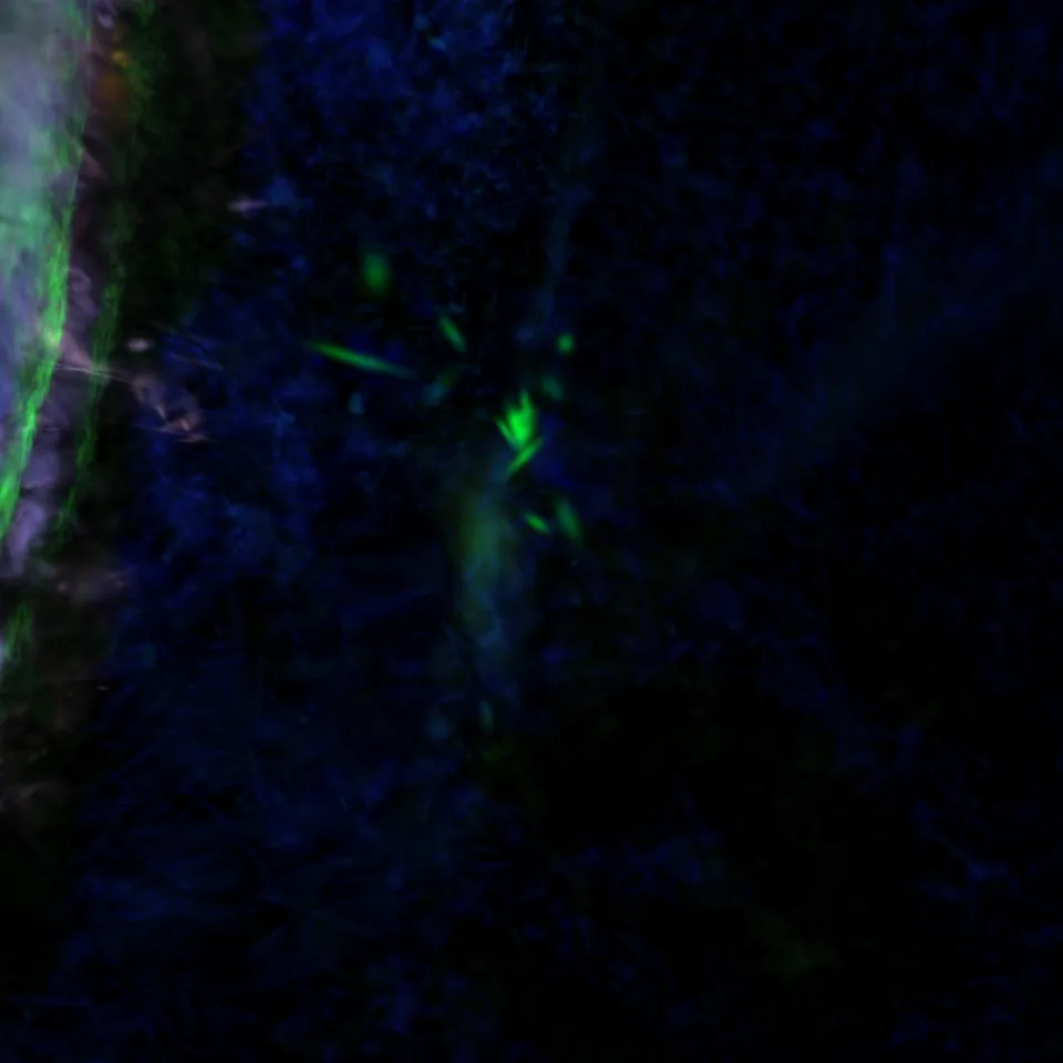 Владивосток шар 