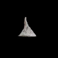 Termite mound