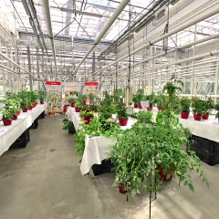 Prudac-SpringTrials26