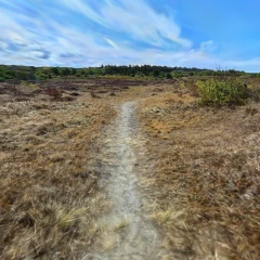 Trail near Ecomare