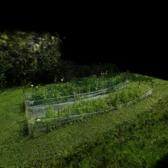 Garden test 6