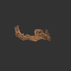 Driftwood_1