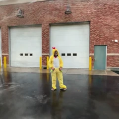The Chicken Man