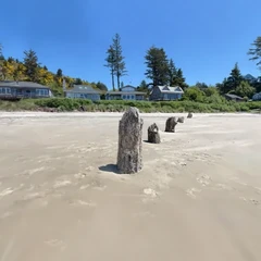 Coast Stump
